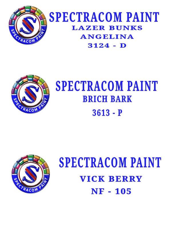 Brand Identity System